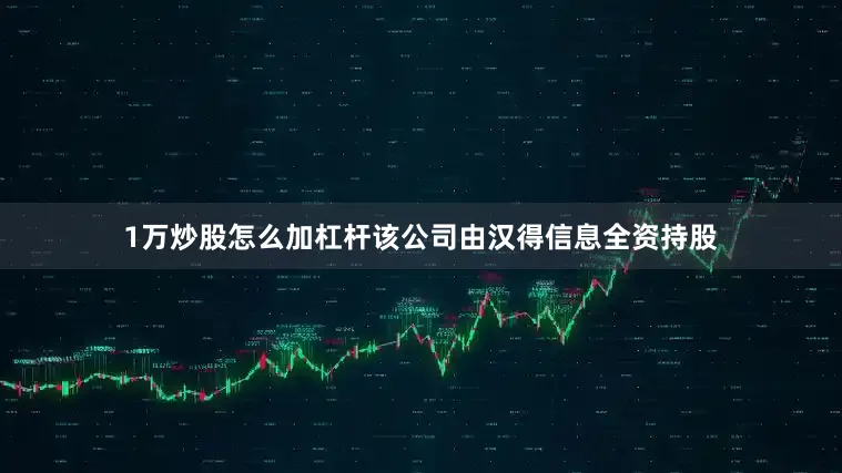1万炒股怎么加杠杆该公司由汉得信息全资持股