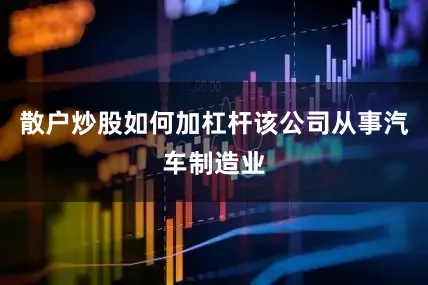 散户炒股如何加杠杆该公司从事汽车制造业