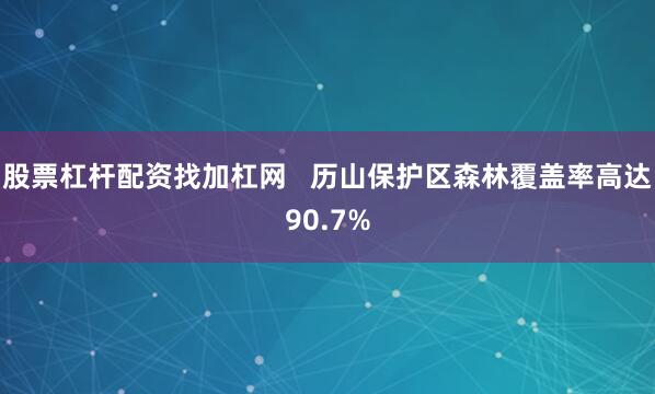 股票杠杆配资找加杠网   　　历山保护区森林覆盖率高达90.7%